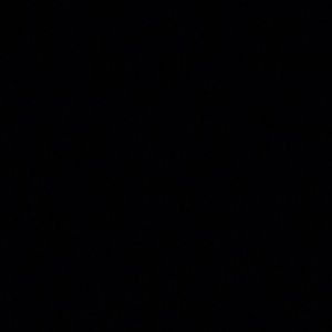 Meet your Posher, Paulina